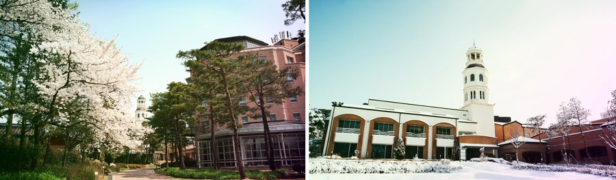 99305D4F5BB4CF4115DF97