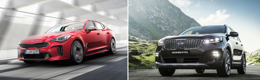 99F3B2465A4B9DD2318C96