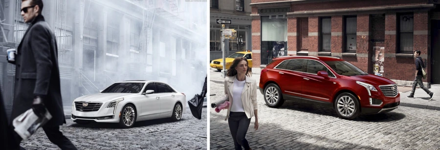 994D5B4D5B6C64E621BF0E