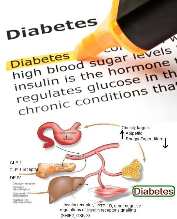 99A4903C5A6C468B2C0ABE