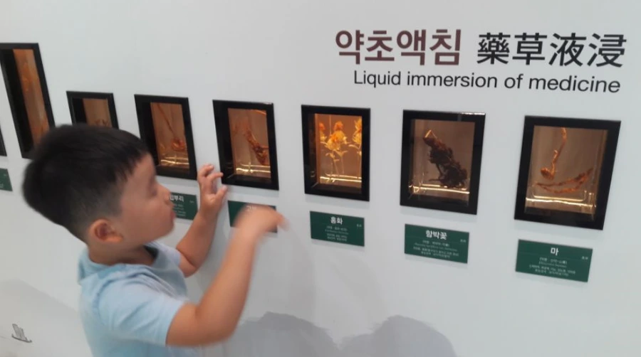 9975C9335B6F8C3231CA7B