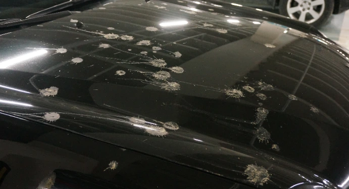 2337E54E592BFA6F2F7E06