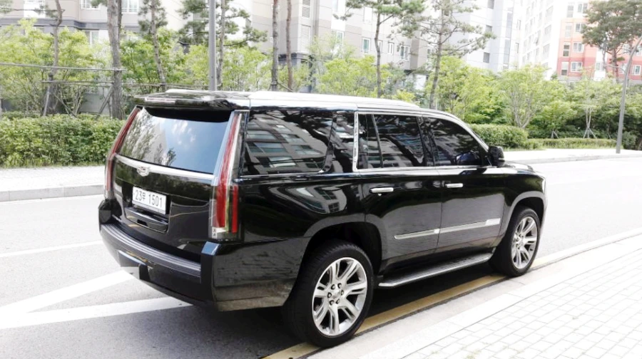 998A82445B743B2E22381C