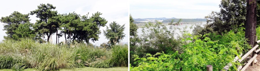 993344385BAD49C20101B3