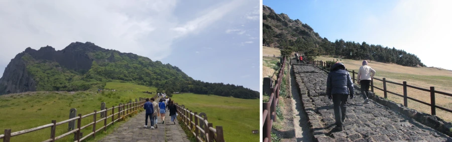 99C227405AF754B5053C4C