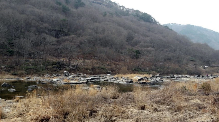 990DC34C5A966335275C22