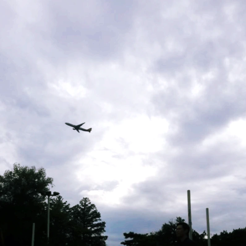 9964B1335B8B473A01D1D3