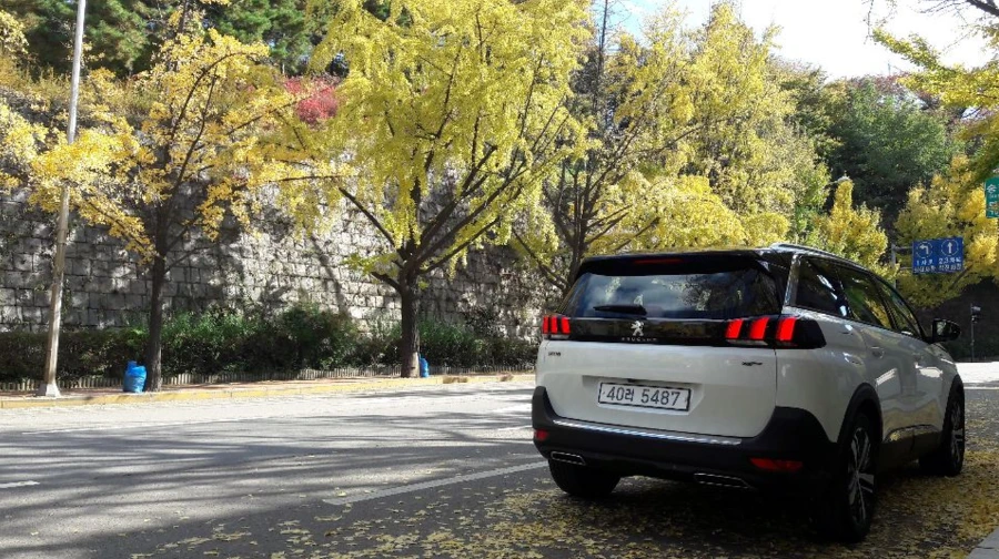 997CCB4F5BDF16A7184889