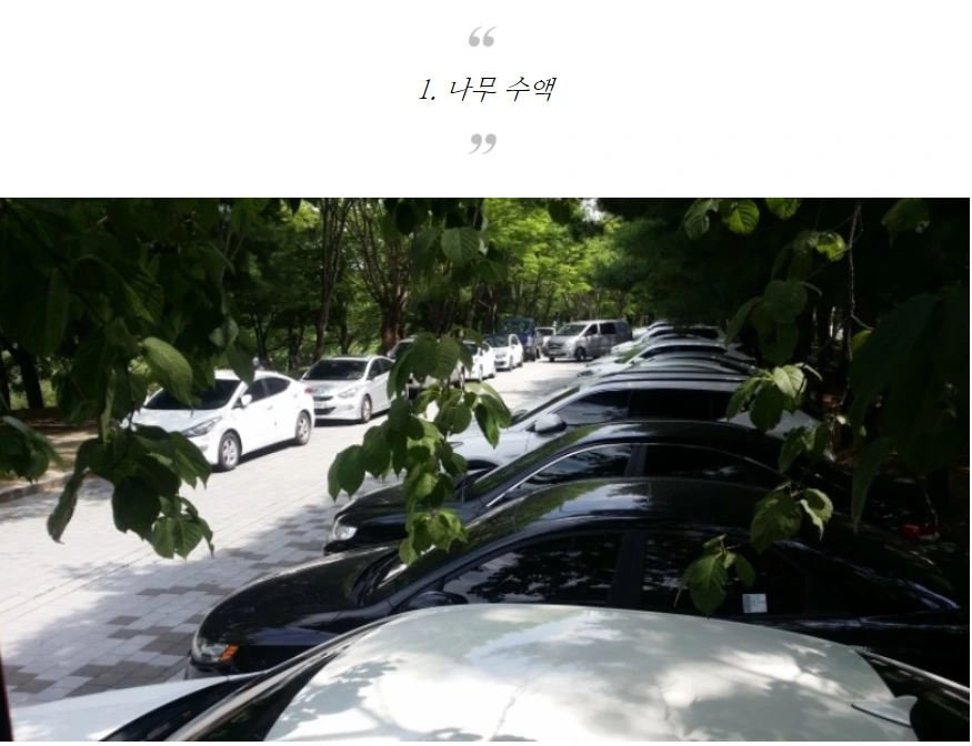 990EED3C5AF06AF42D7E9B