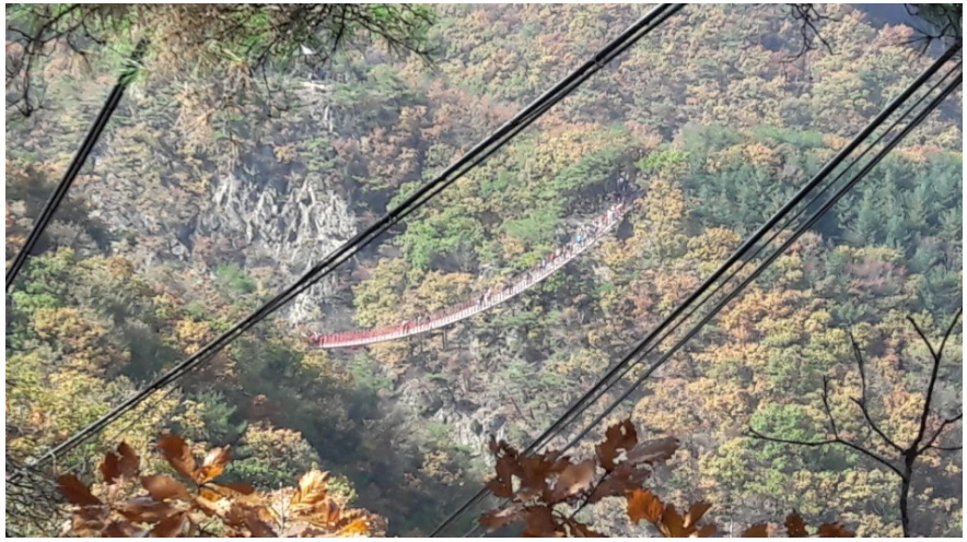 9950303359F7D82405FDF1