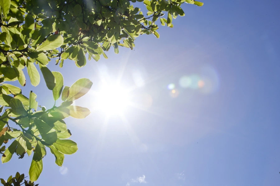 99A3963359BF2DAC2A0D63