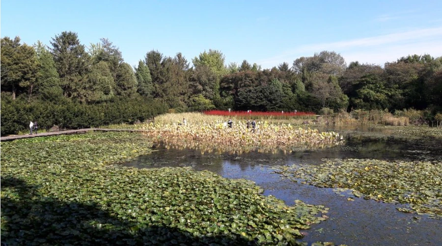 995ED3335BC2A31133F14F