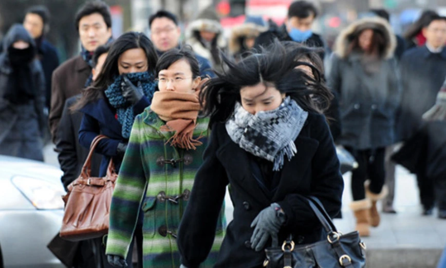 99CF583A5C14846C2D786D