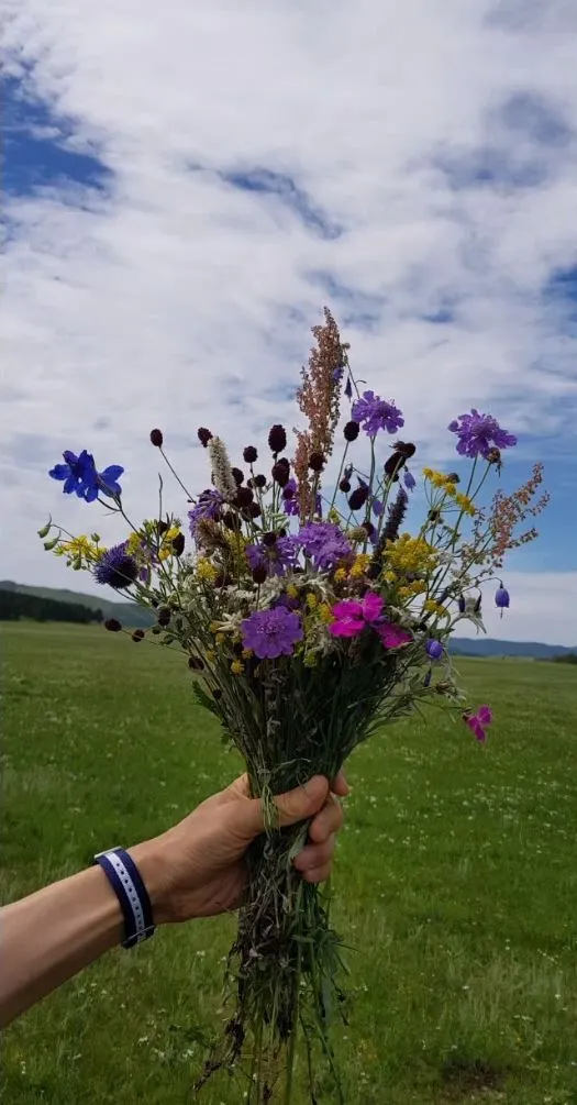 5일차_초원의 꽃다발.JPG