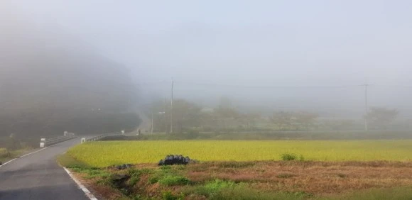 %EC%95%88%EA%B0%9C%EA%B8%B8.jpg?type=w580