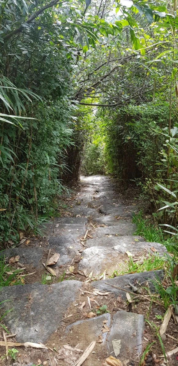 %ED%92%80%EC%84%AD%EA%B8%B8.jpg?type=w580