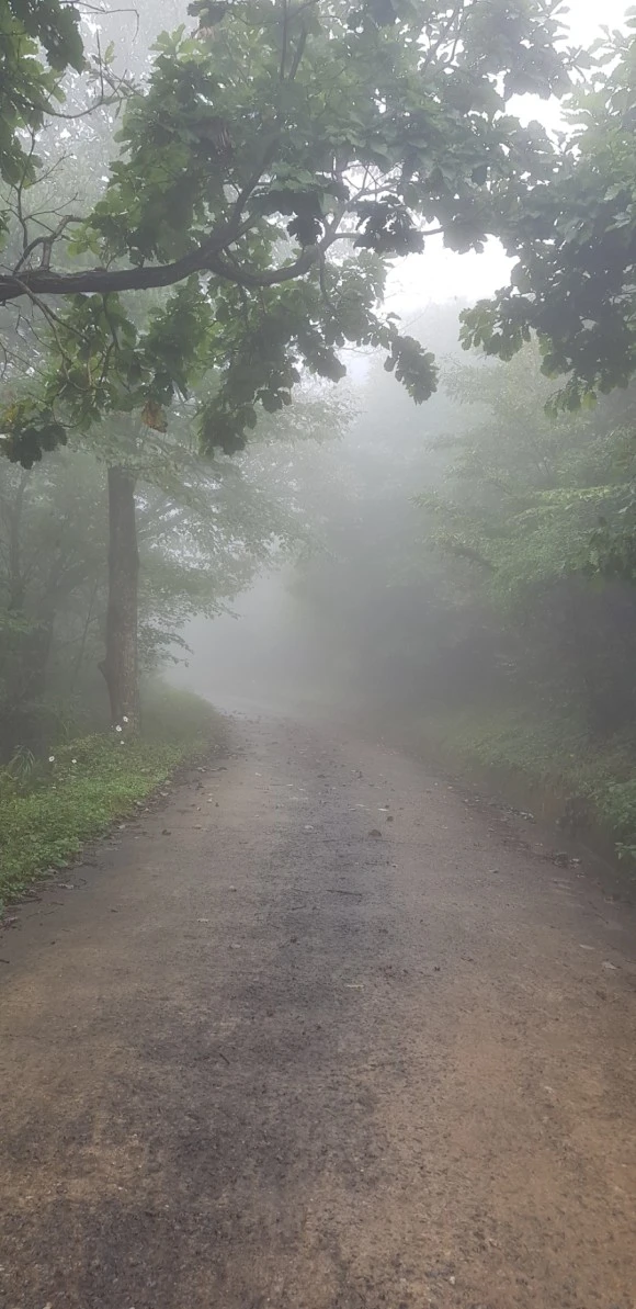 %EA%B5%AC%EA%B8%88%EA%B8%B8.jpg?type=w580