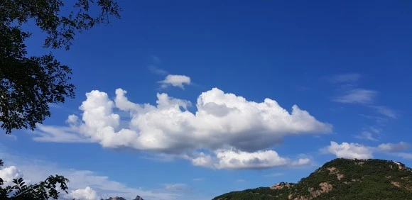 %ED%95%98%EB%8A%98.jpg?type=w580