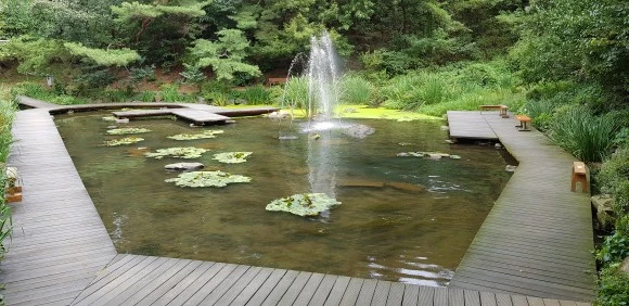 %EB%B0%A9%EC%A3%BD.jpg?type=w580