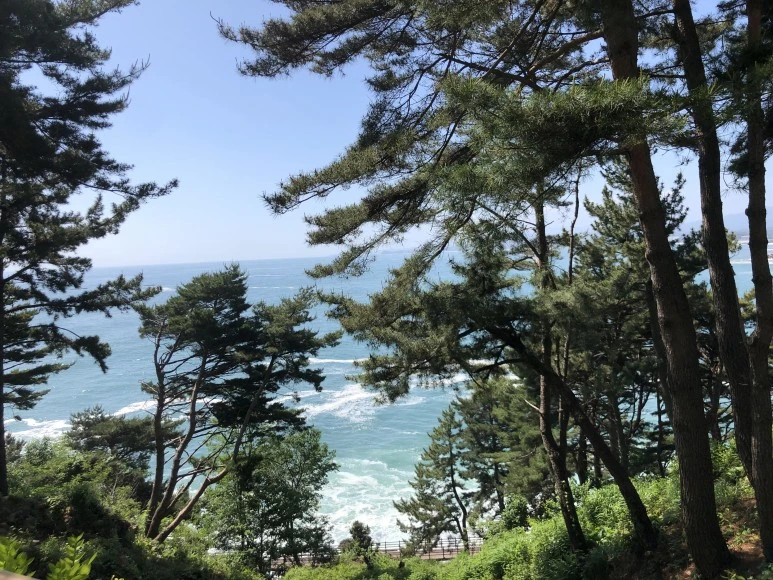 IMG_6032.jpg?type=w773