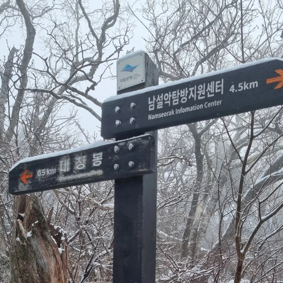 KakaoTalk_20241111_091251404_03.jpg?type=w1