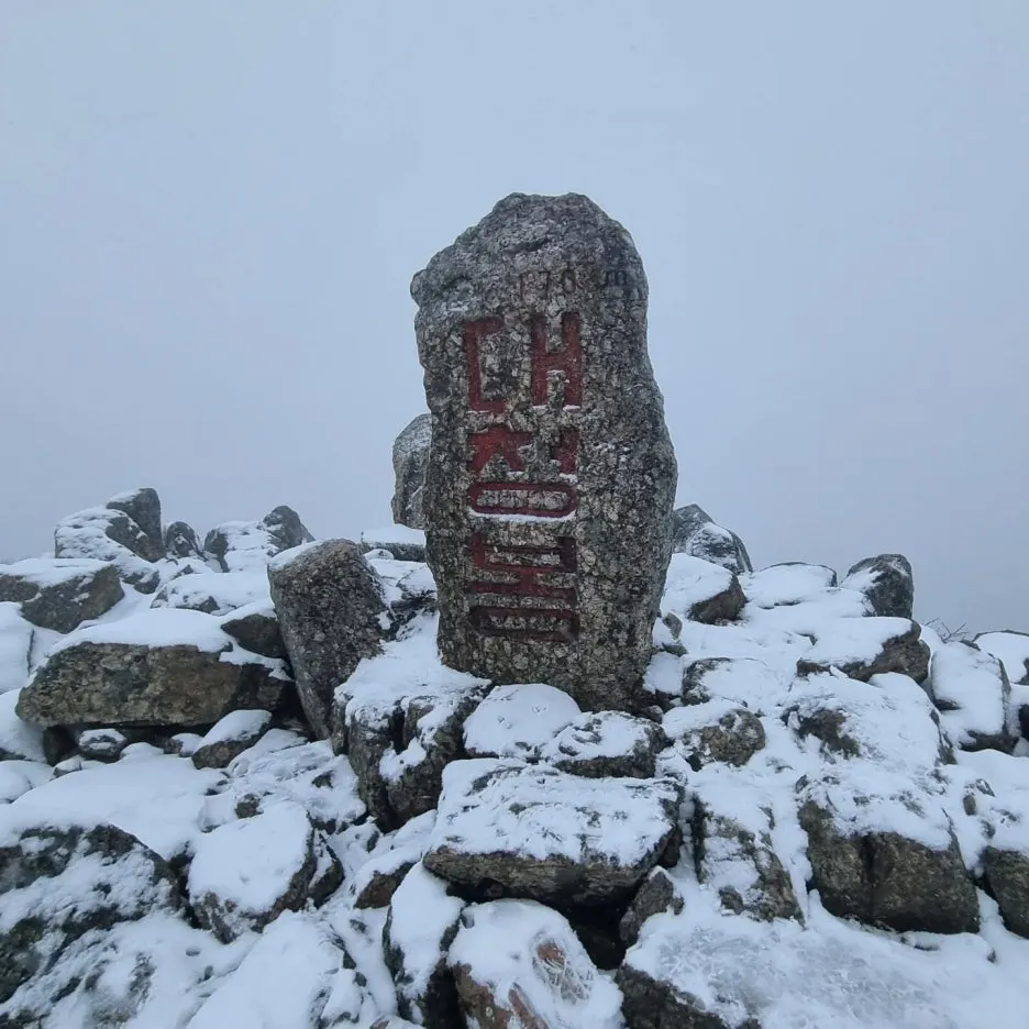 KakaoTalk_20241111_091251404_02.jpg?type=w1