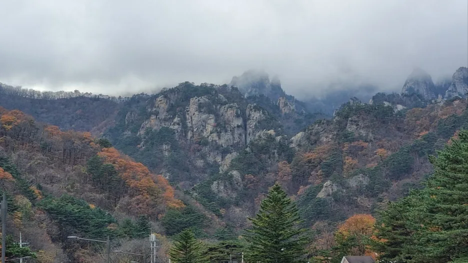 KakaoTalk_20241111_091251404.jpg?type=w1