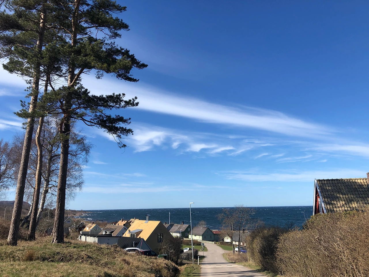 드보라님 사진 2.JPG