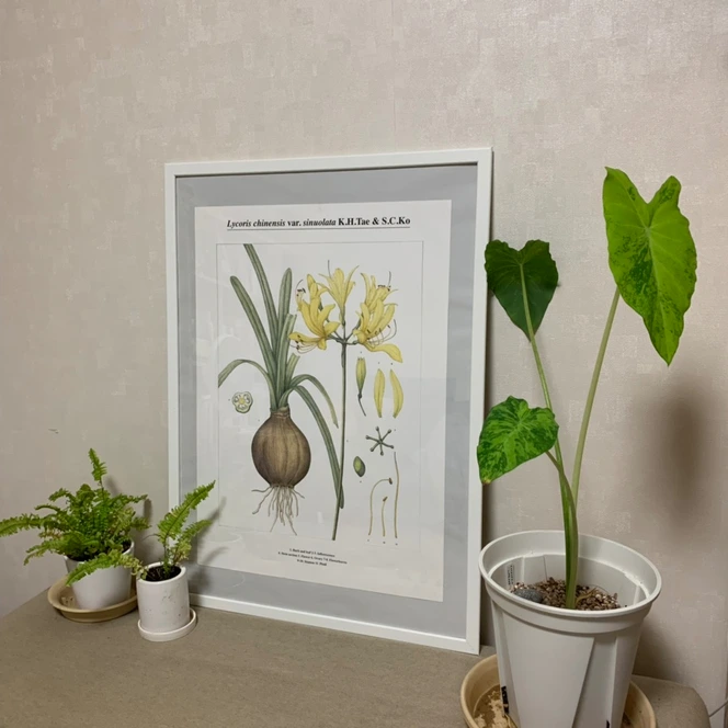 SE-edb18d05-b885-4b7f-886f-8496a839553d.jpg?type=w966