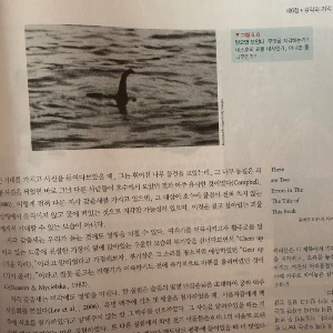 output_394471799.jpg?type=w773