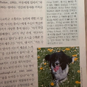 output_3780866400.jpg?type=w773