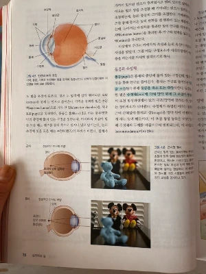 IMG_3554.jpg?type=w773