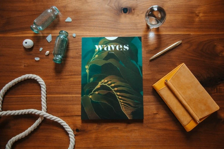 photo-1605290975464-72d2acef7d4a.jpg?type=w773