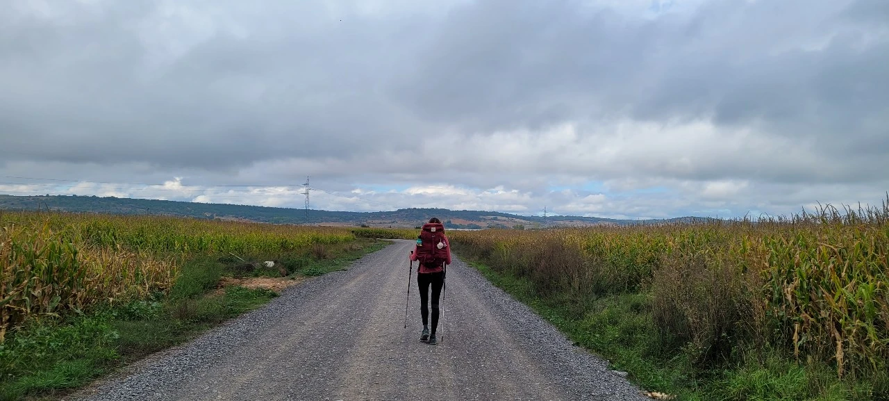 KakaoTalk_Photo_2021-09-29-07-18-29 007.jpeg