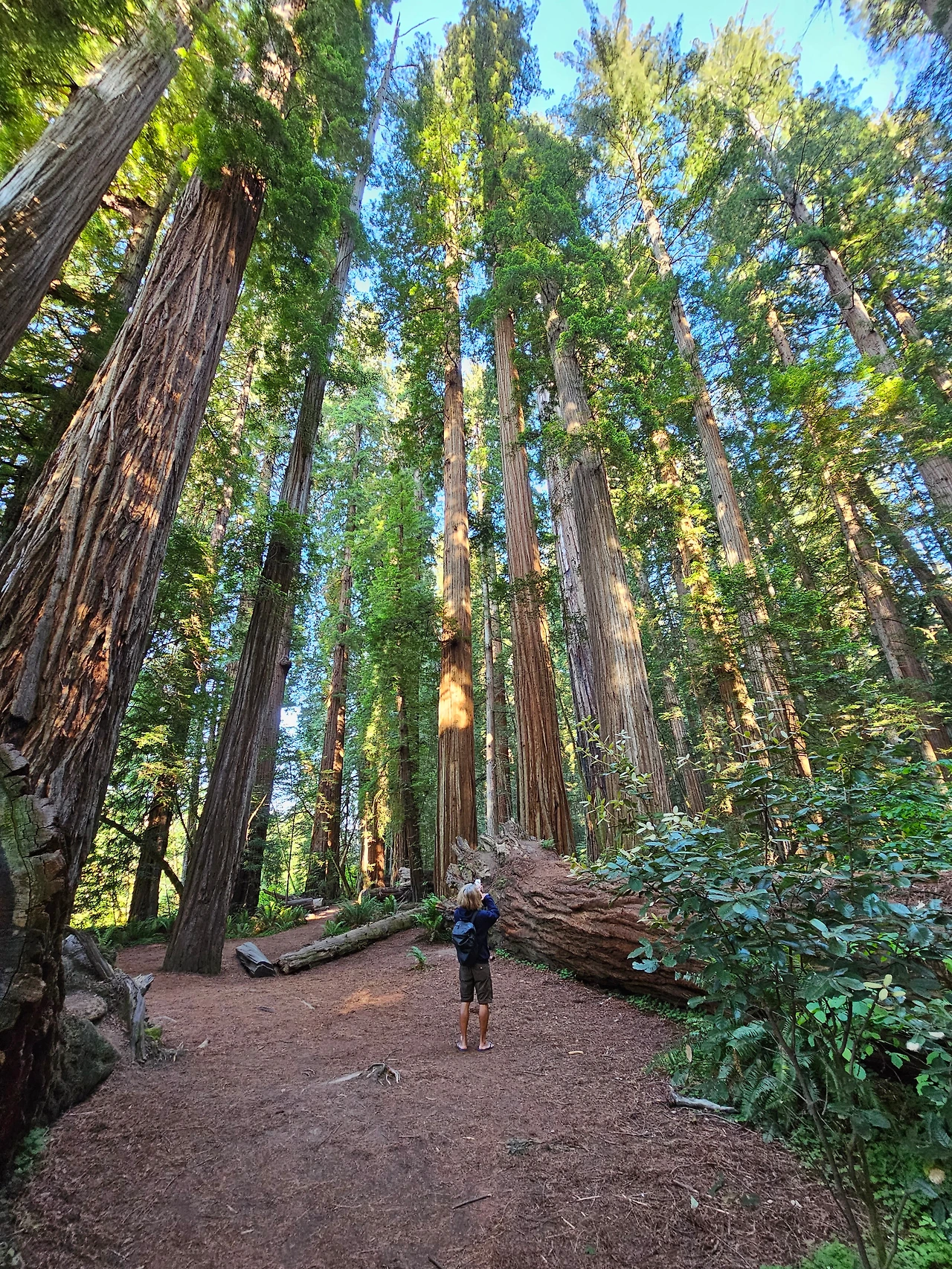 KakaoTalk_Photo_2023-06-11-23-23-51 013.jpeg