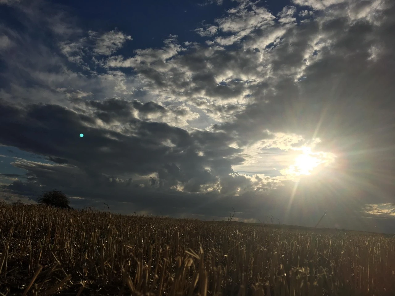 KakaoTalk_Photo_2021-09-23-19-25-09 003.jpeg