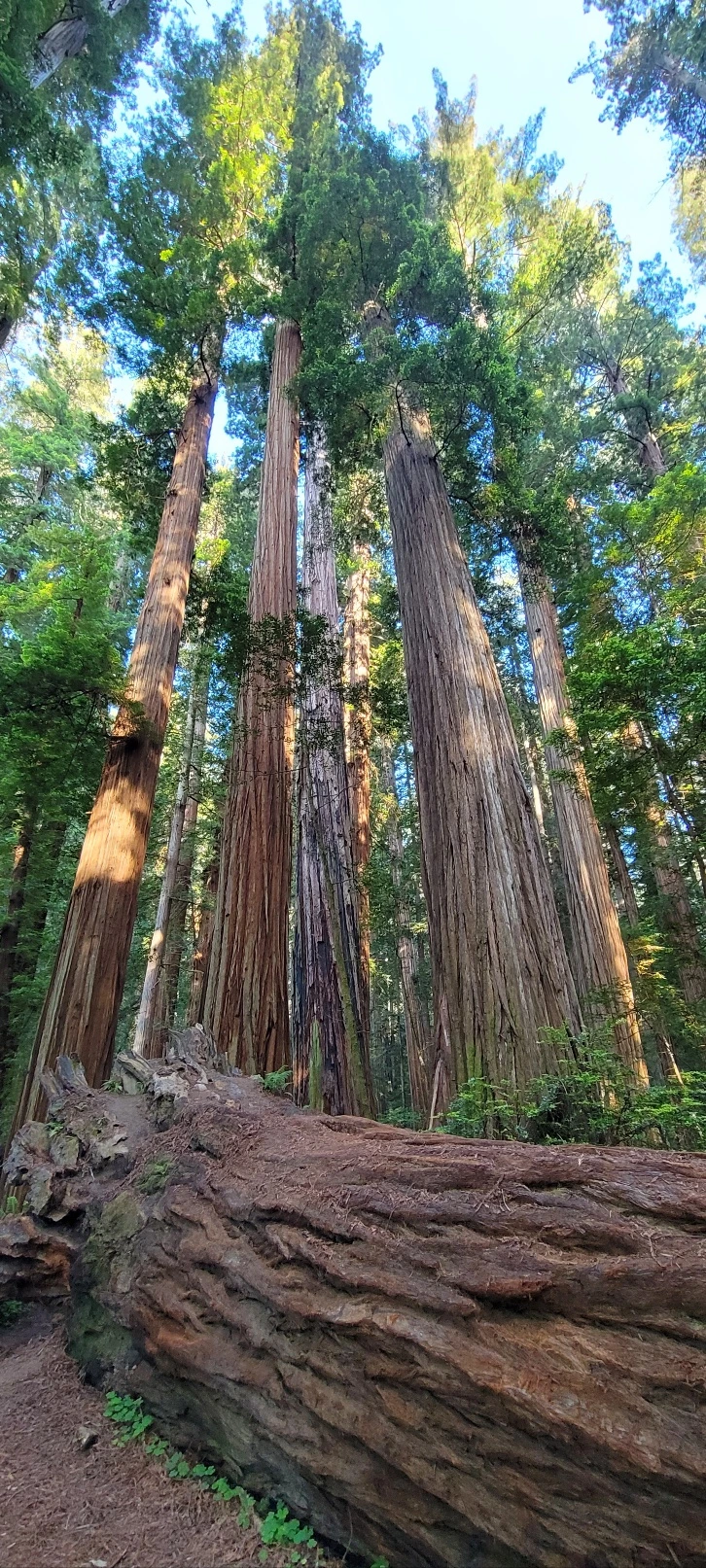 KakaoTalk_Photo_2023-06-11-22-46-59 016.jpeg