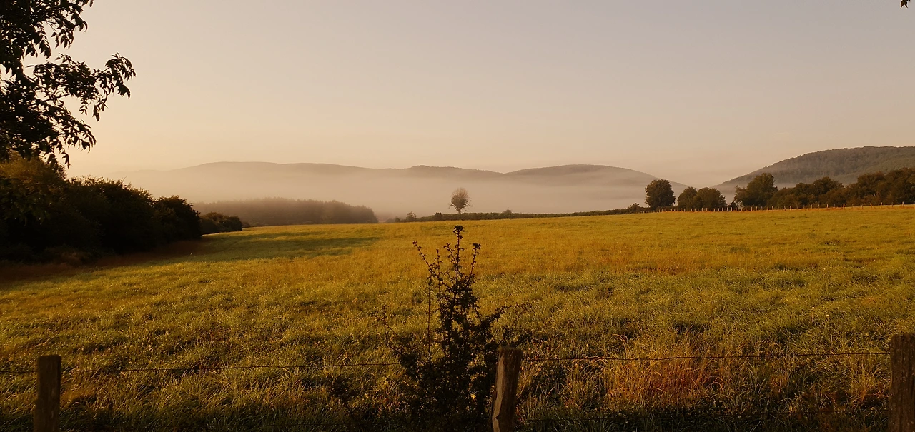 페레네 들판1.jpeg