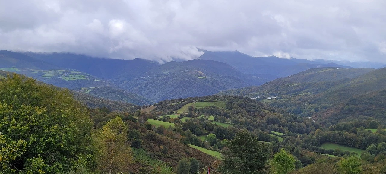 KakaoTalk_Photo_2021-10-04-16-35-37 015.jpeg