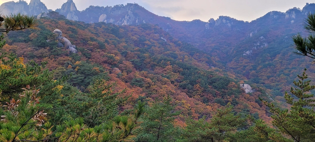 도봉산 단풍.jpeg
