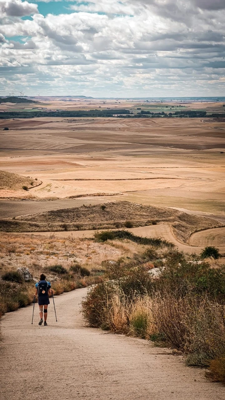 KakaoTalk_Photo_2021-09-21-07-26-13 001.jpeg