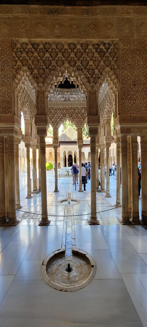 사자의 파티오.jpeg