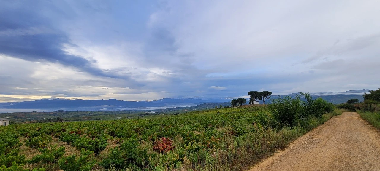 KakaoTalk_Photo_2021-10-02-18-25-46 003.jpeg