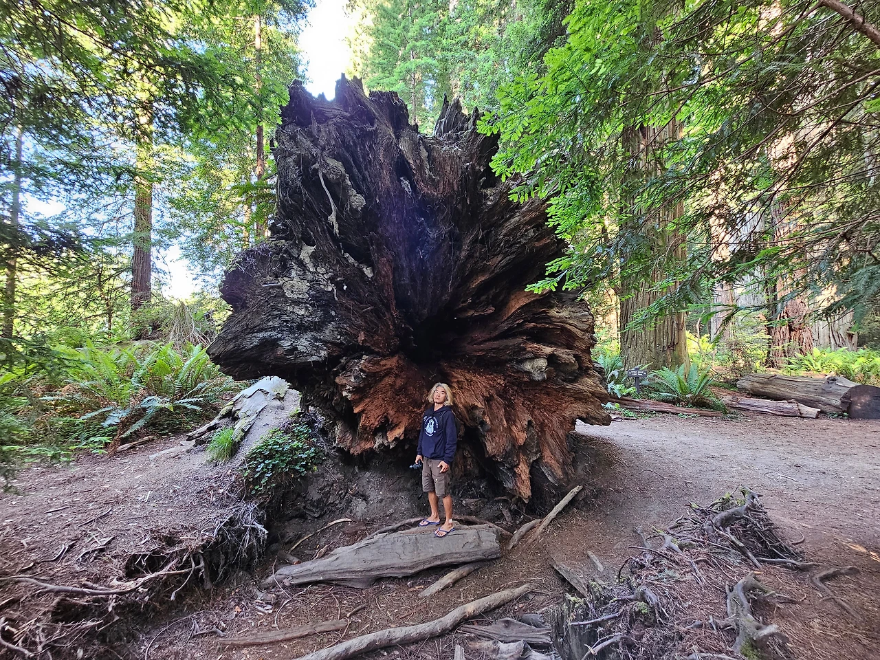 KakaoTalk_Photo_2023-06-11-23-24-46 016.jpeg