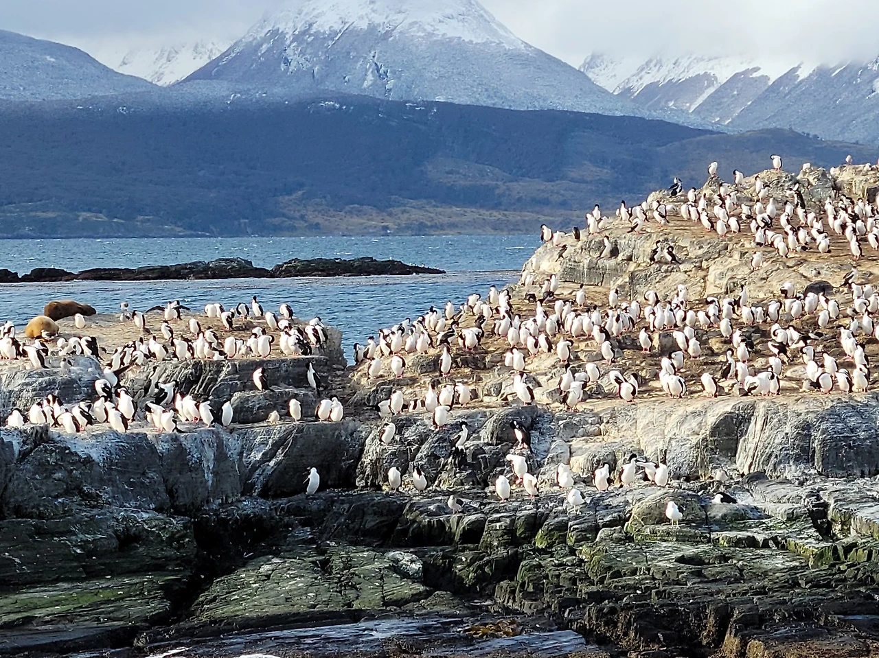 KakaoTalk_Photo_2023-03-29-08-07-03 004.jpeg