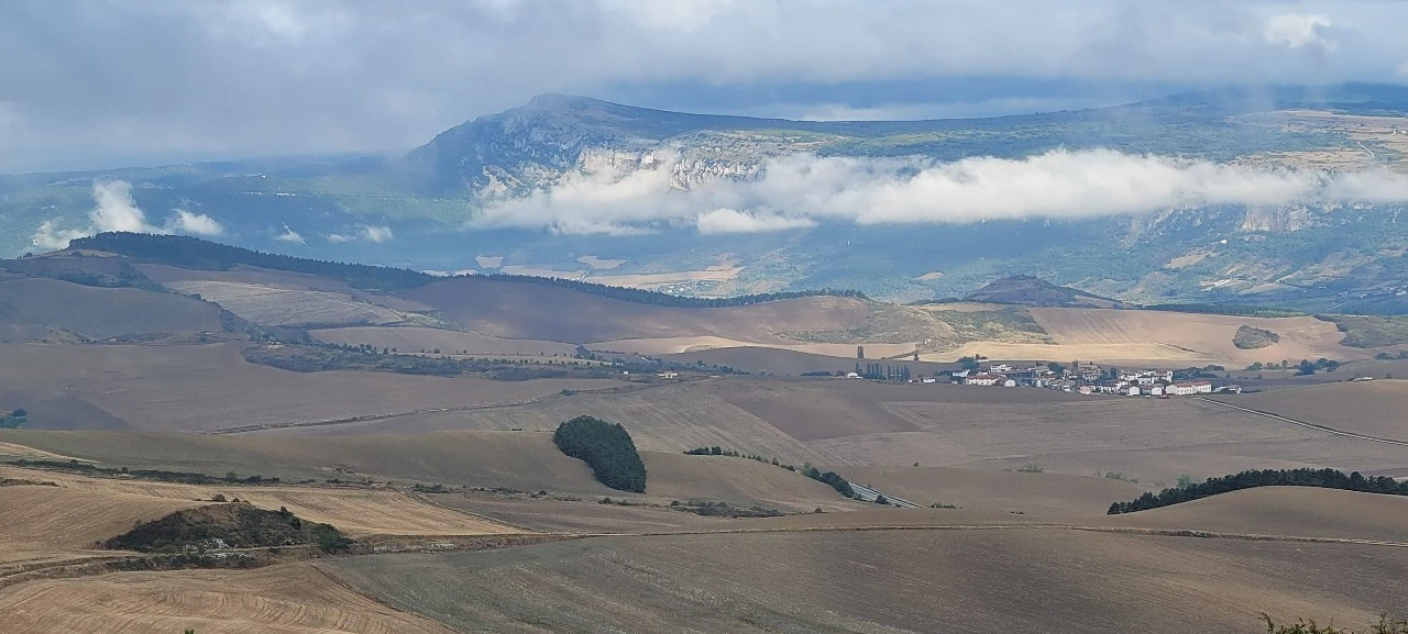 KakaoTalk_Photo_2021-09-12-07-25-02 006.jpeg