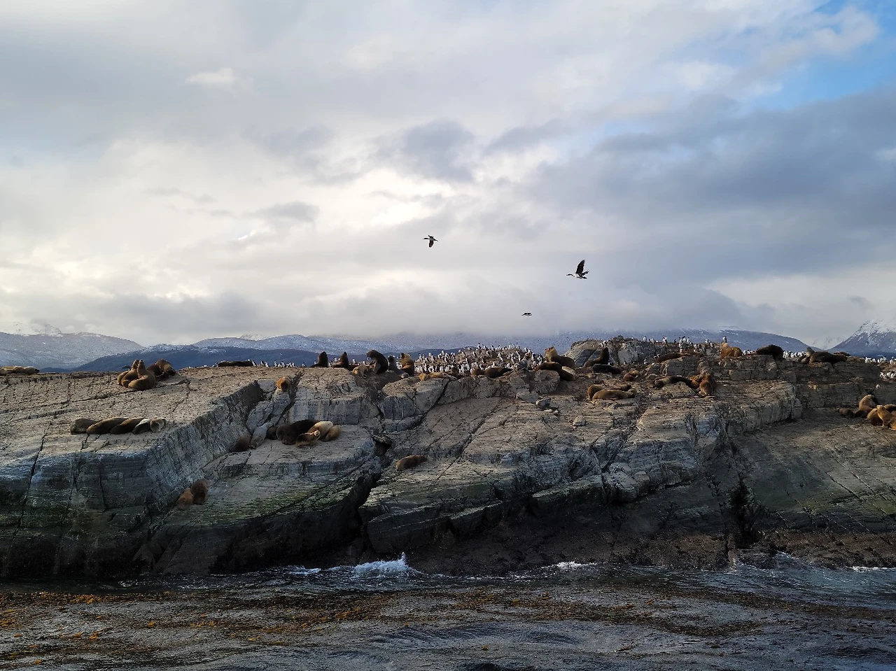 KakaoTalk_Photo_2023-03-29-08-07-06 005.jpeg