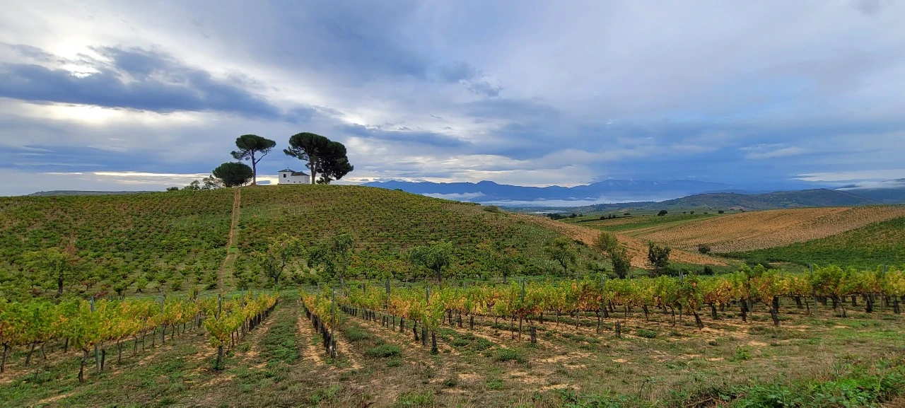 KakaoTalk_Photo_2021-10-02-18-25-43 002.jpeg