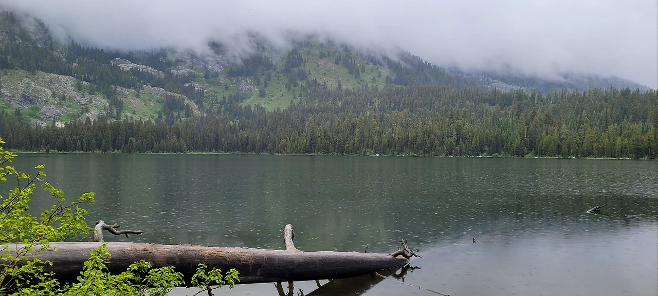 KakaoTalk_Photo_2023-06-23-00-47-50 006.jpeg