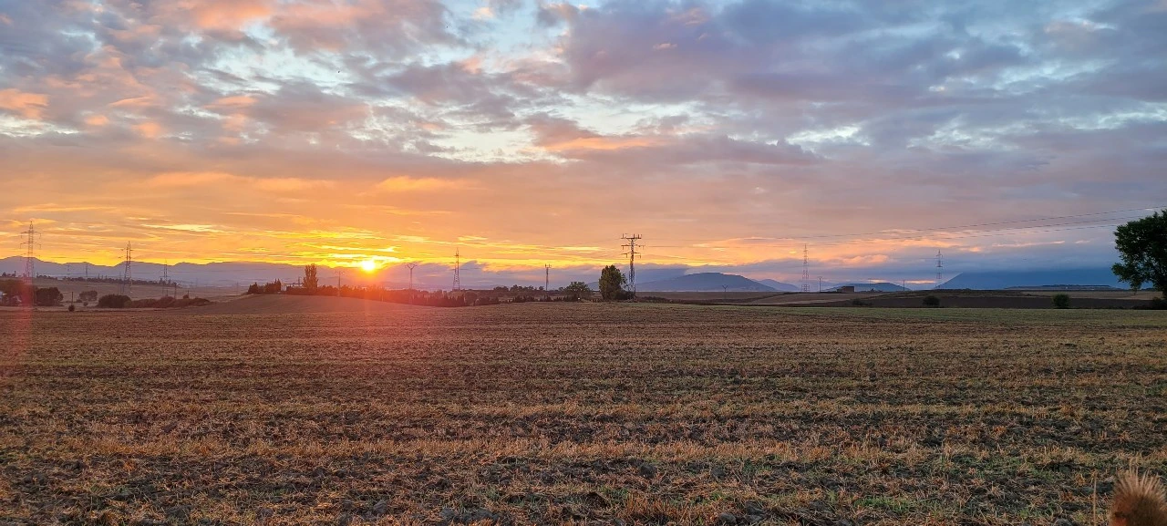 KakaoTalk_Photo_2021-09-12-07-24-55 002.jpeg